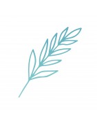 Embellissement divers