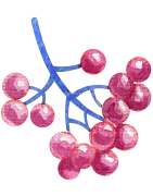 Fleurs pour le scrap